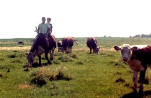 IMG_20140318_0053_NEW (1)