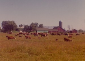 IMG_20140318_0061_NEW