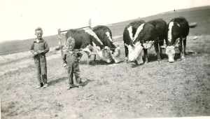 qz1-5img_20140401_0003_new