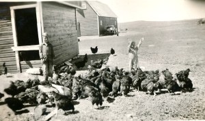 qz1-5img_20140401_0003_new1